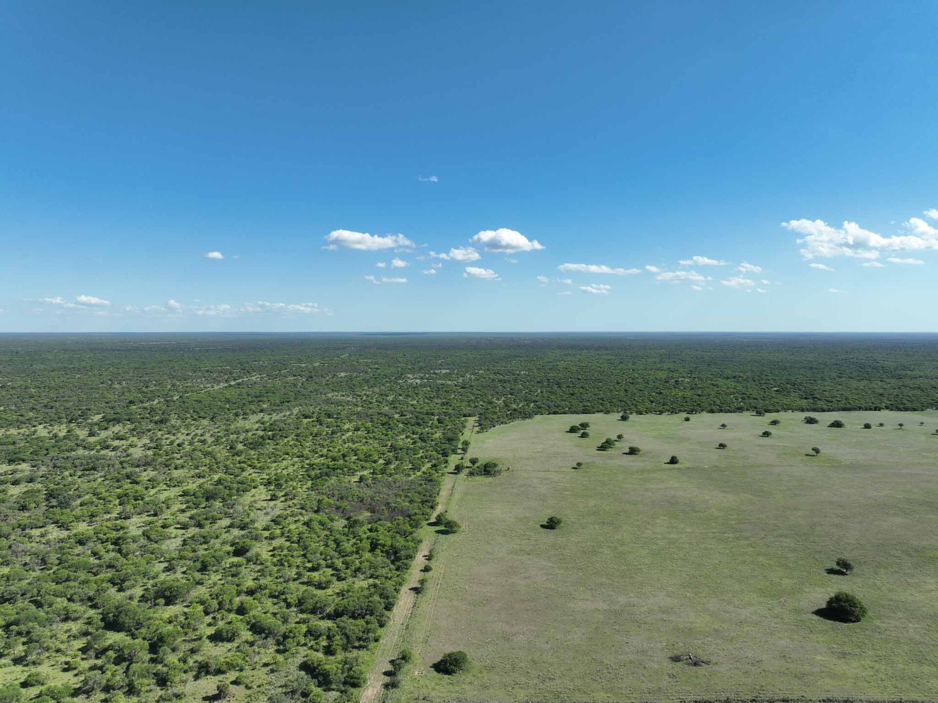 Arizona - Image 1