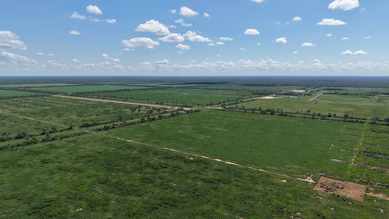 Montania - Image 3