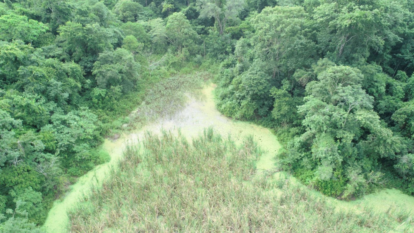Peña Colorada - Image 3