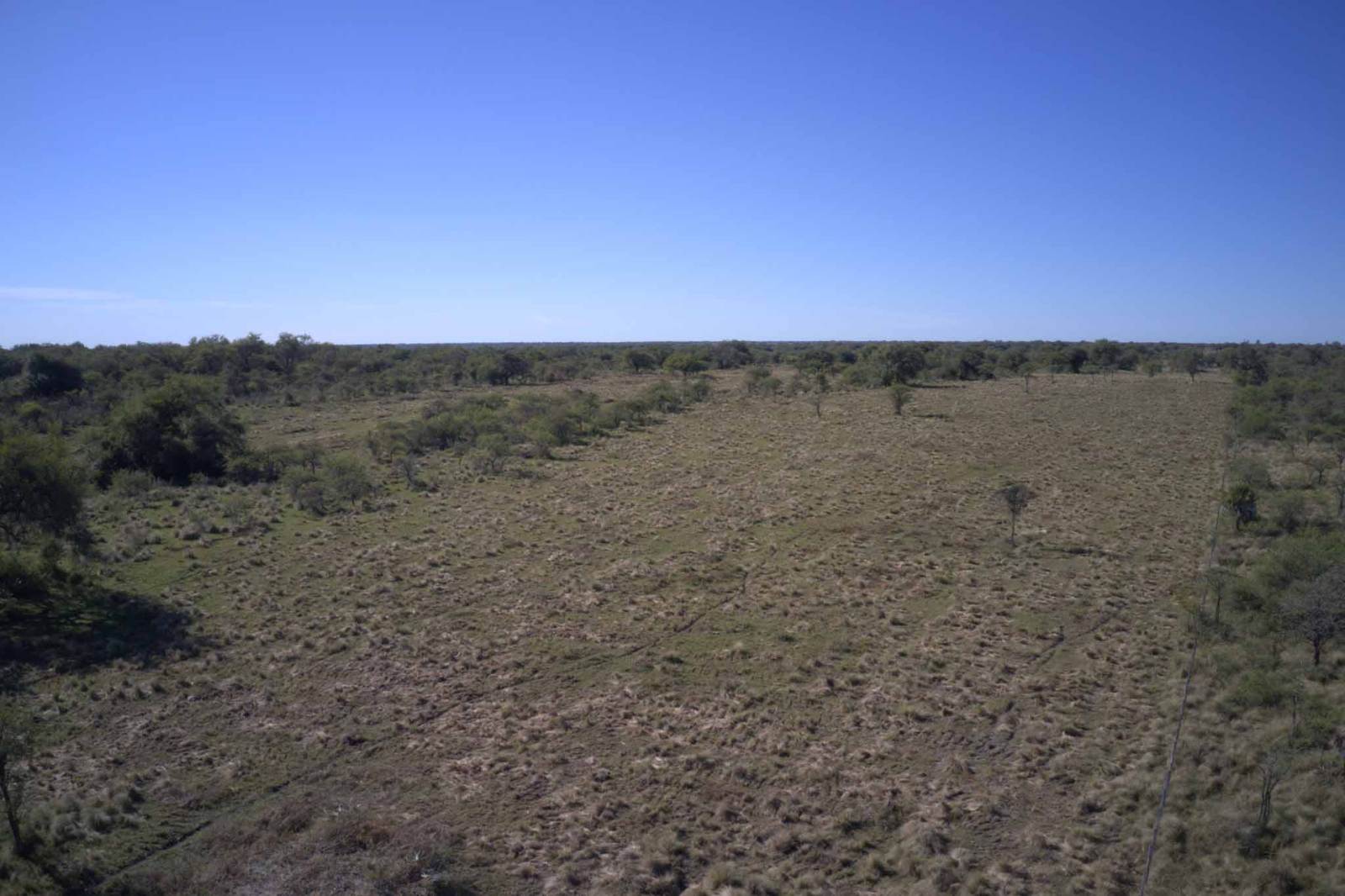 Perugorría - Image 2