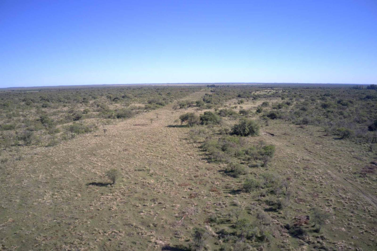 Perugorría - Image 3