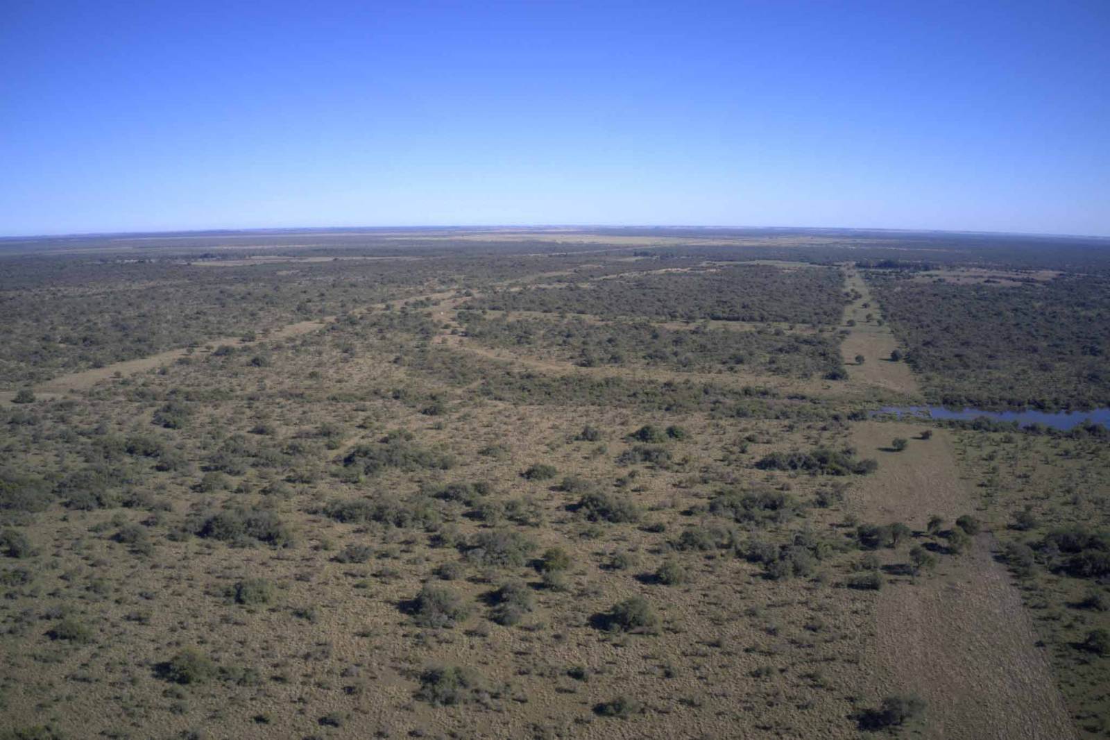 Perugorría - Image 1