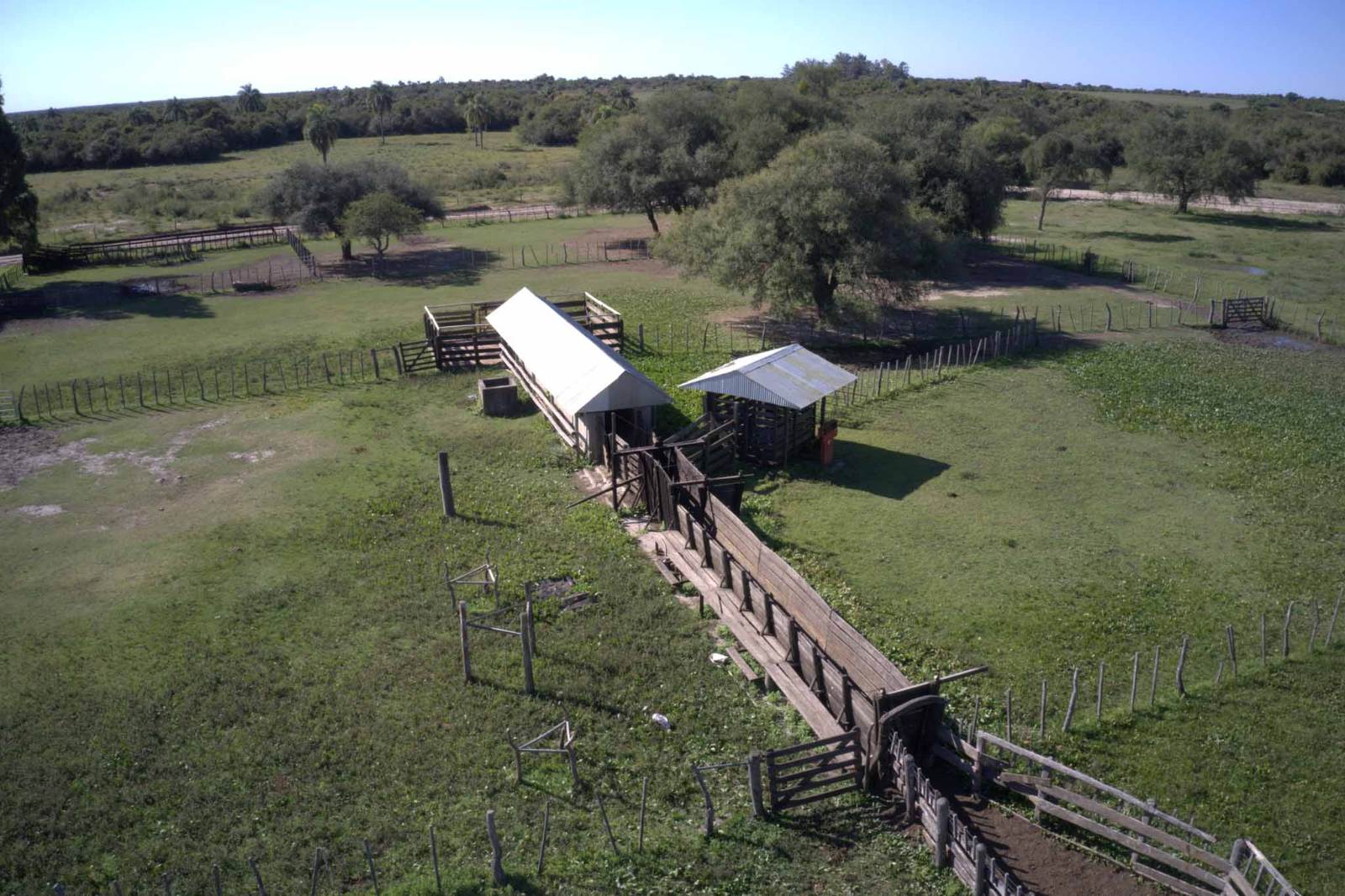 Perugorría - Image 3