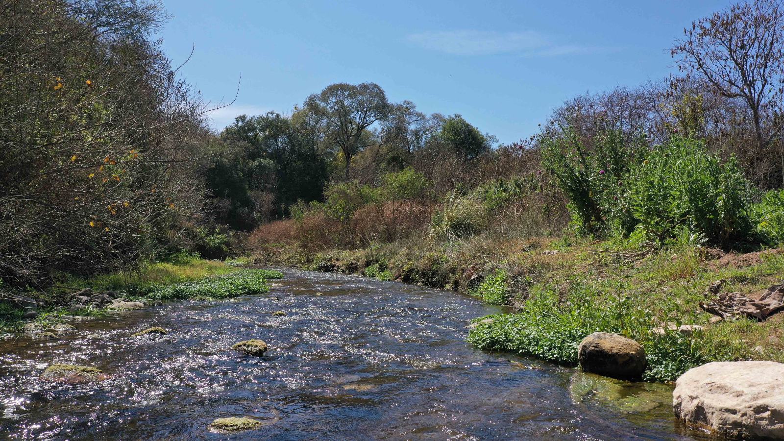Río Piedras - Image 2