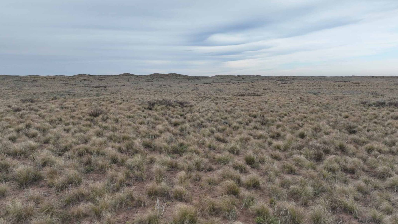 Santa Isabel - Image 4