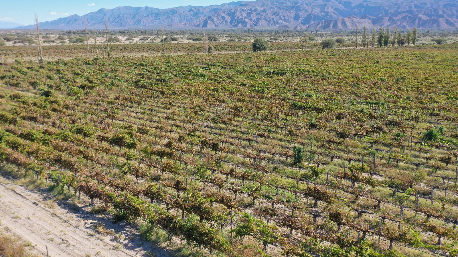 Santa María - Image 3