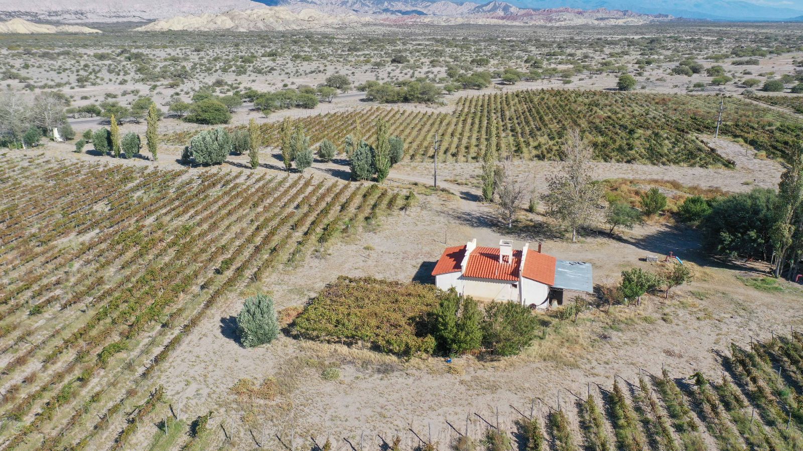 Santa María - Image 2
