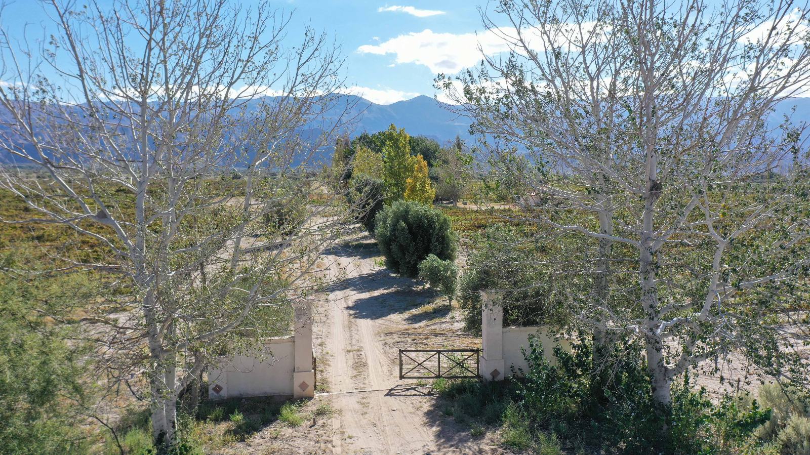 Santa María - Image 2
