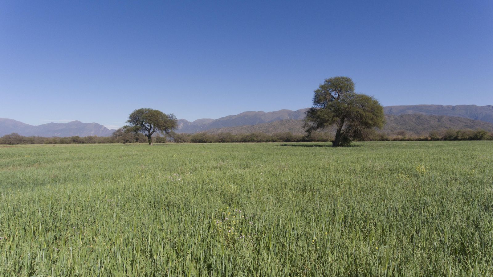 Talapampa